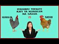 Download Ifahamu Tofauti Kati Ya Kuroiler Na Sasso Mp3 Song
