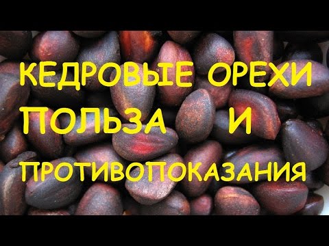 Болит спина кружится голова тошнит Упражнения для остеохондроза общего