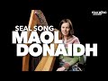 Celtic Harp - Maol Donaidh - Preview