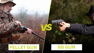 Pellet Gun vs BB Gun