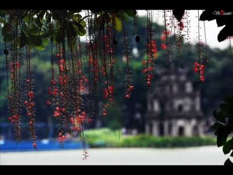 Điều giản dị Sheet - Hồng Nhung