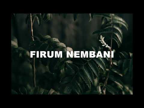 Lagu daerah waropen -_- Firum Nembani