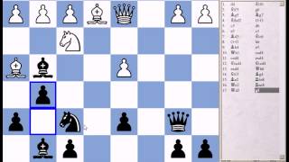 Blitz Chess #974 with Live Comments Torre Attack