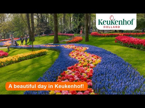 A beautiful day in Keukenhof 2022 🌷