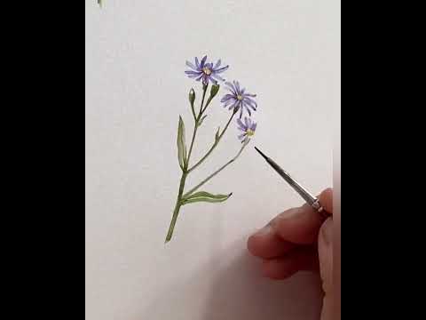How to paint aster flower | watercolour painting | how to draw | easy art | relaxing video | art