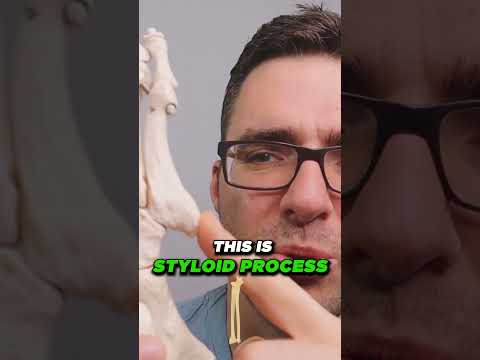 TOP 13 Ways to Shrink Bunions Naturally 1 HUGE SECRET