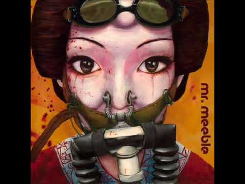 Raindrops - Mr. Meeble