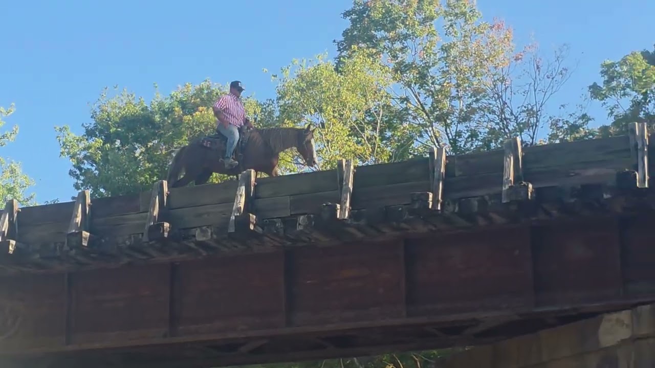 Jolleen 🐴 SAFE, SEASONED, AND READY FOR YOUR NEXT ADVENTURE! 🐴 video 1