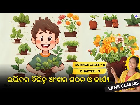 Udvidara Bibhinna Anshara Gathana O Karjya Class 6 Science Chapter 9