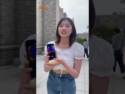 최애 노래를 알려주세요! (2) | D-log