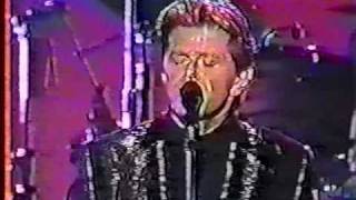 Peter Cetera LIVE- Even A Fool Can See (1995)