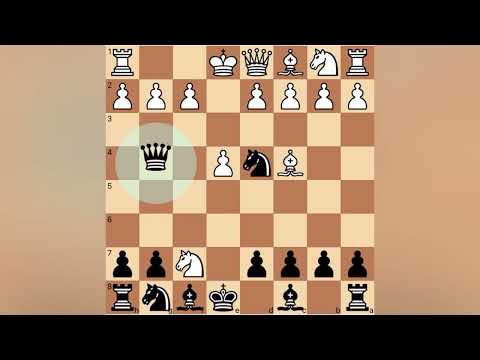 Shah mat. Te gjith bien ne kete kurth.