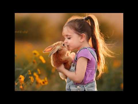 I Capture The Special Bond Between My Daughter And Animals I Capture The Special Bond Between My Daughter And Animals