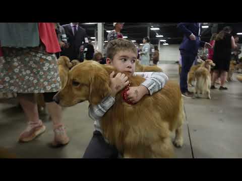 Chasing Down A Dream-2024 GRCA National Specialty Highlights