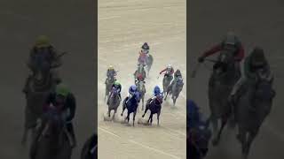 또39.8배적중8-9복연승배당마 6.8번