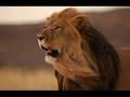 Groundation * The Seventh Seal 