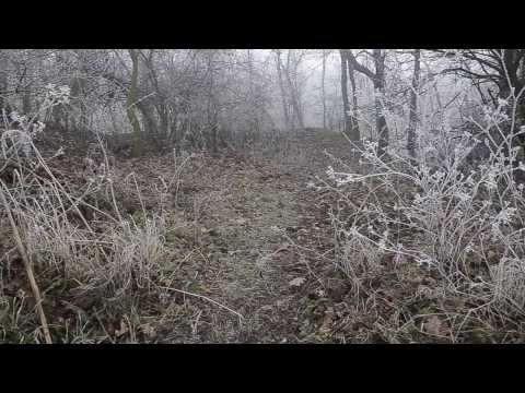 Zenový Čaj - Zen Tea - Cold Mist