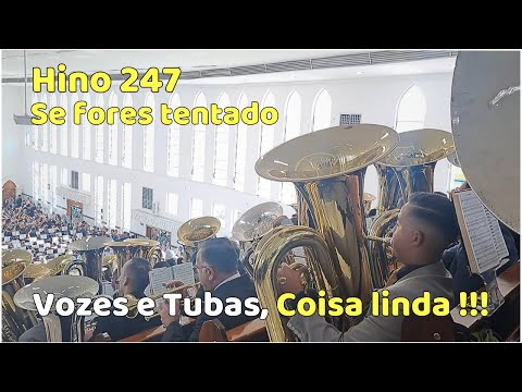 HINO 247 SE FORES TENTADO - Ensaio regional CCB Transilvânia 16.07.2023 (Joaquim do Jaçanã)