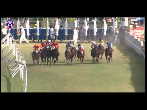 RM31 R6 | Henry Tudor | R.Simons