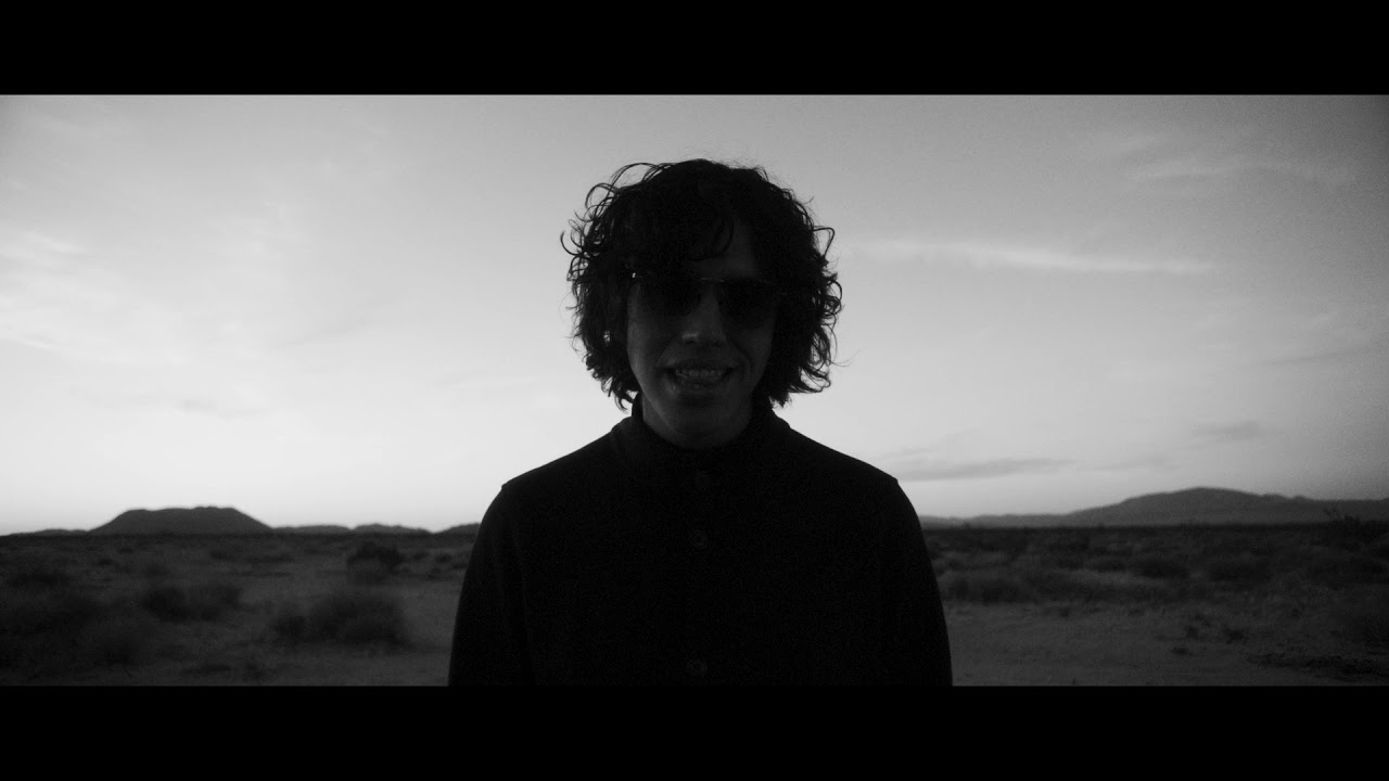 Social Animals — Bad Things