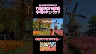 期間限定のチューリップ畑🌷本場で体験するヨーロッパの春 #海外旅行 #オランダ #花畑 #ヨーロッパ旅行 #チューリップ