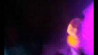 the cribs - our bovine public at the barrowlands