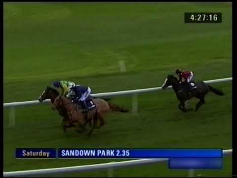 2005 William Hill Tingle Creek Trophy Chase