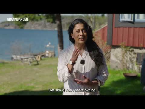 Den ultimata guiden: Så ensamtränar du din hund