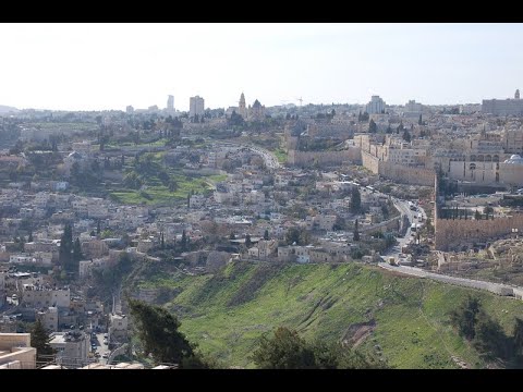 Orgelsolo Fantasie over ''Freu dich sehr, o meine seele'' Joh. L Krebs Nicolaikerk Utrecht