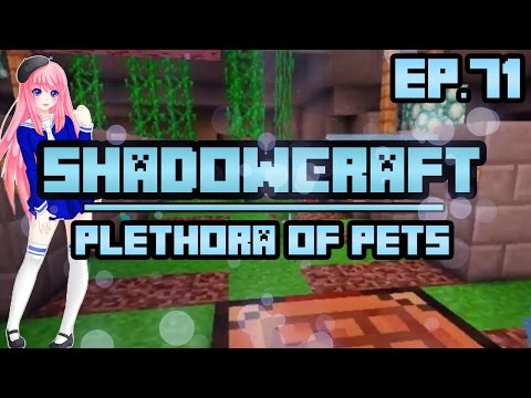 Plethora of Pets | ShadowCraft | Ep. 71