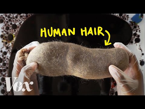 萬能頭髮功用多,清理漏油也能通 (How your split ends can help clean oil spills)