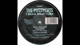 The Pussycuts - I Know What I Like (Laidback Luke mix)