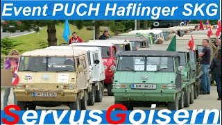 preview picture of video '#01 International PUCH Haflinger meeting!'