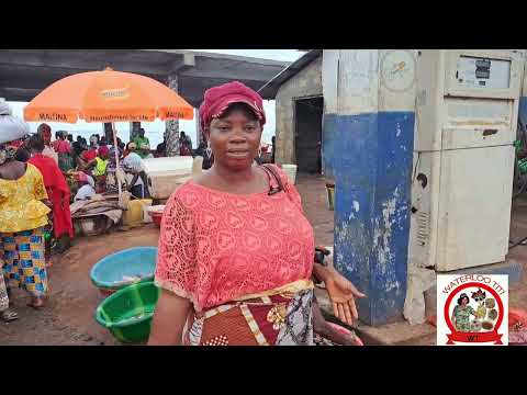 Follow me to Tombo Wharf. Let's buy fish!