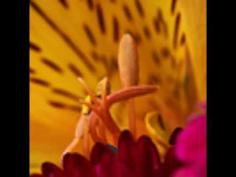 Nico Grubert - Promo set #1