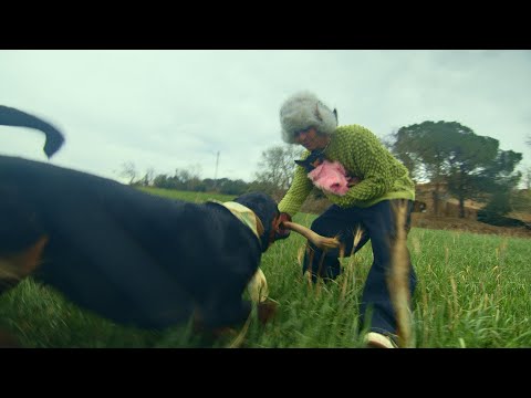 Pol Bordas, Noventas - RONDINAIRE (Videoclip Oficial)