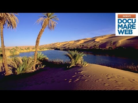 Documentario Jacques Cousteau - Le preziose acque del deserto - La grande avventura del mare