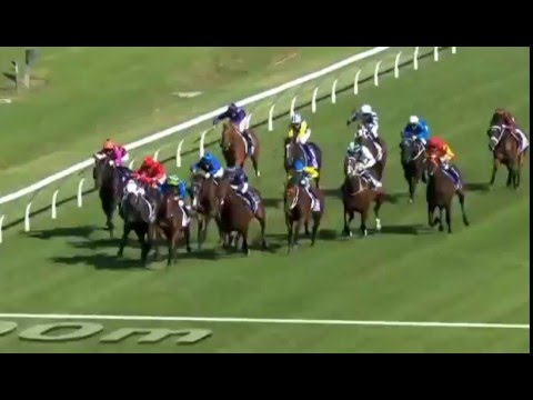 2016 Group 1 Rosehill Guineas - Tarzino