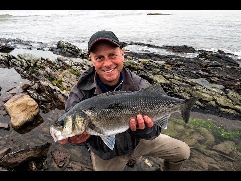 Henry Gilbey ~ BASS AGM 2017 ~ part 4