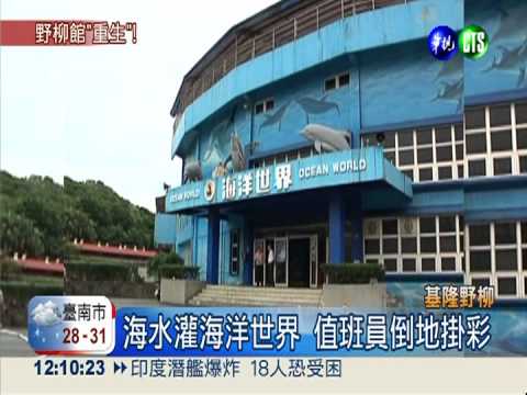 颱風重創 野柳海洋世界明開放