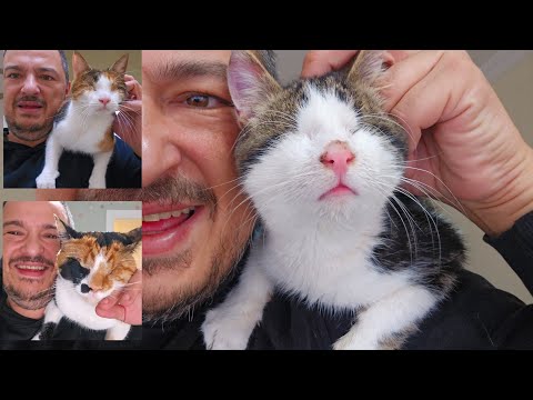 Dom pełen niewidomych kotów i nieskończonej miłości