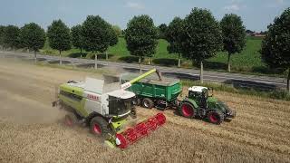 Landbouwwerken Picard | Graan dorsen | CLAAS Lexion 6700