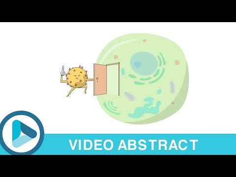 β1-Integrin: The sneaky co-conspirator to reovirus entry into host cells