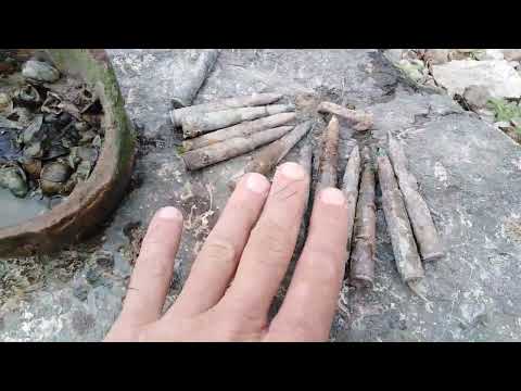 Petrovaradinska tvrđava: Istraživanja na obali Dunava ispod tvrđave / snimak 2 / Peterwardein Kinna