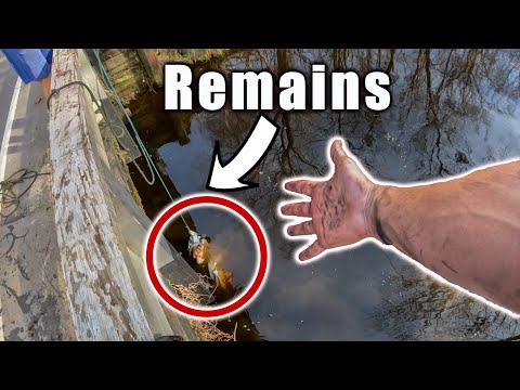 WARNING GRAPHIC: Remains Uncovered While Magnet Fishing-Most Disturbing Magnet Fishing Discover Yet