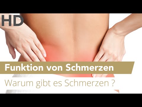 Anhaltende Schmerzen Schulterschmerzen im Rücken Schmerzen im Bauch nach dem Stuhl