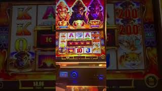 EARNED A SUITE IN THE STAR PRINCESS CASINO