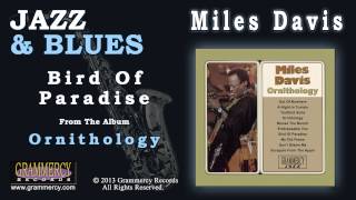 Miles Davis - Bird Of Paradise