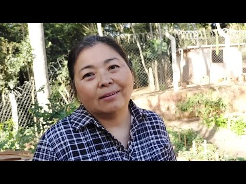 MINHA HISTÓRIA DE COMO FUI MORAR NO JAPÃO ( Parte 1)