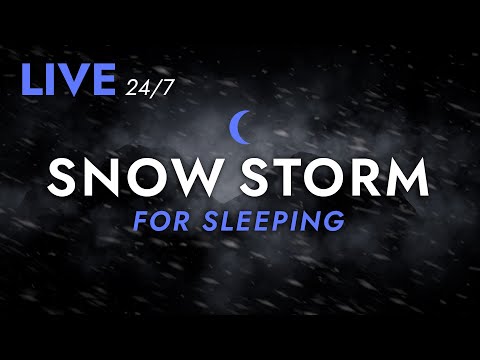 ???? Fall Asleep to Snow Storm Sounds for Sleeping - Dimmed Screen | Live Stream - Blizzard Sounds